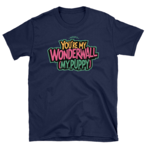 Playera you are my wonderwall